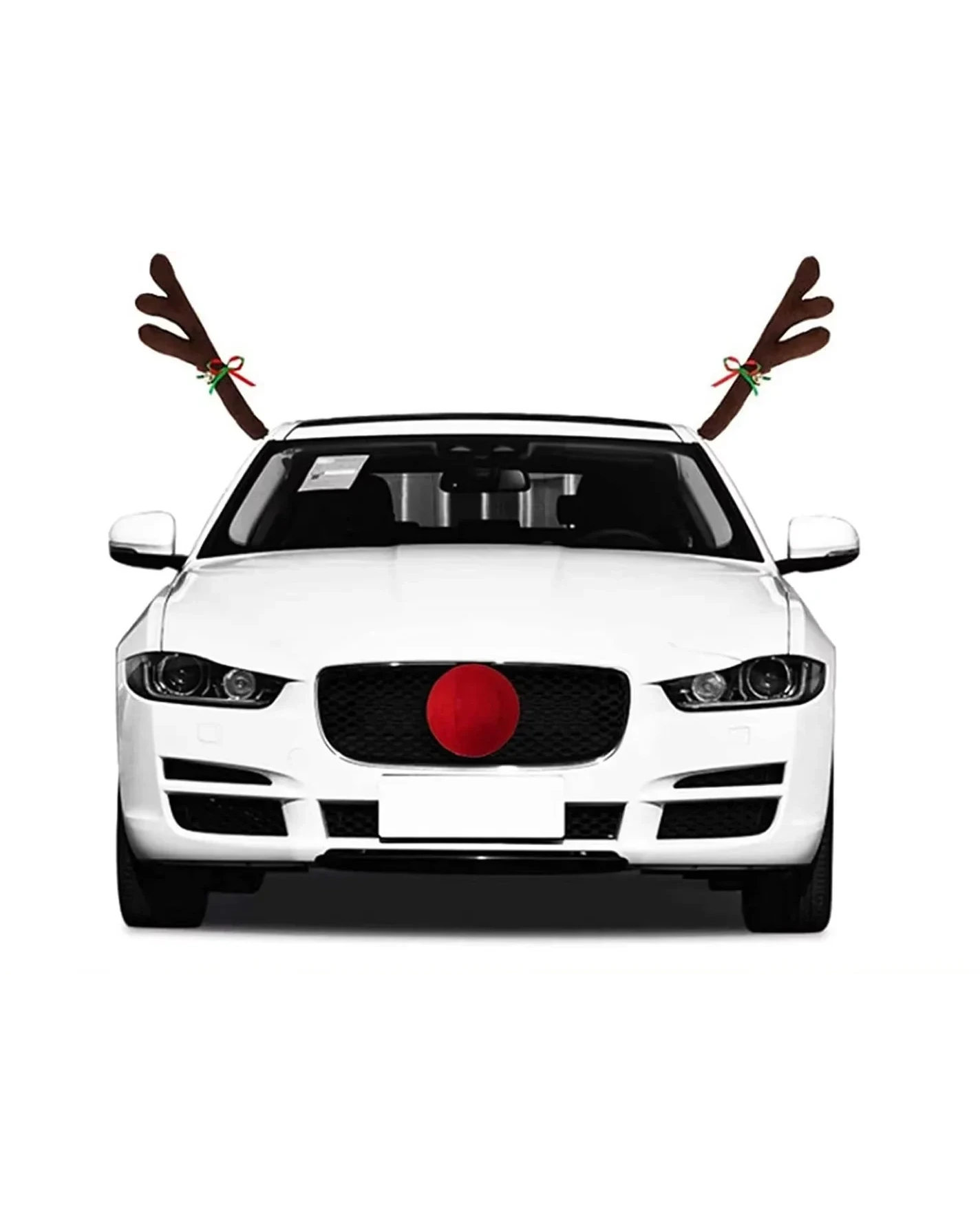 Reindeer Car Kit